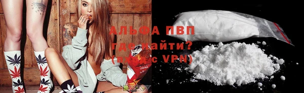 стаф Абинск