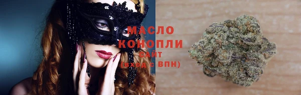 стаф Абинск
