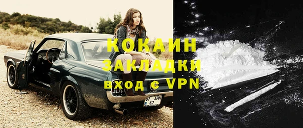 стаф Абинск
