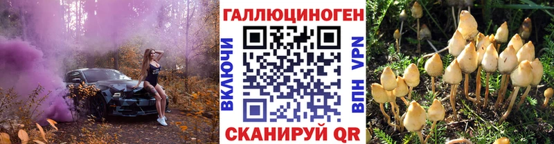 как найти   Ковдор  Галлюциногенные грибы ЛСД 